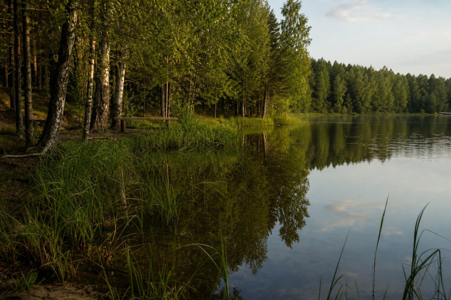 Лесной берег озера Светлояр и отражения в воде